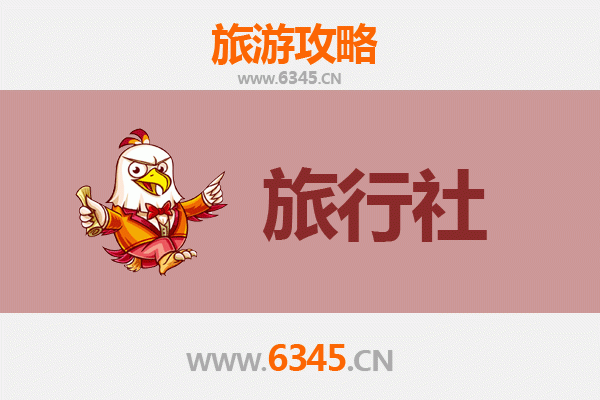 甘孜德格本地旅行社推荐：深度探索藏文化瑰宝